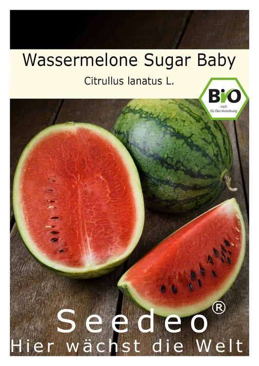 Seedeo® Wassermelone Sugar Baby (Citrullus lanatus L.) 10 Samen BIO