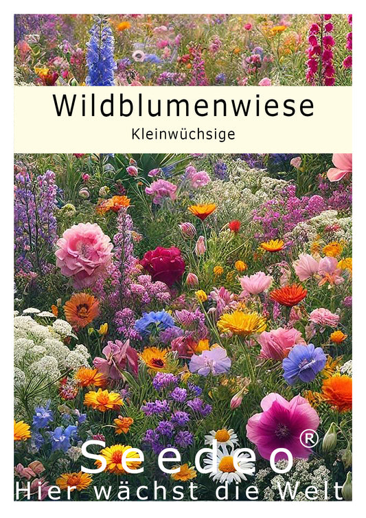 Seedeo® Wildblumenwiese Kleinwüchsige Sorten