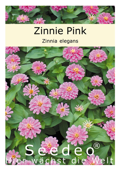 Seedeo® Zinnie Pink (Zinnia elegans) 50 Samen