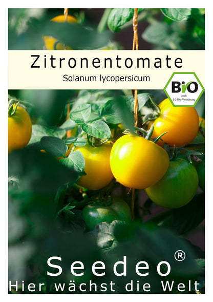 Seedeo® Zitronentomate (Solanum lycopersicum) 10 Samen BIO