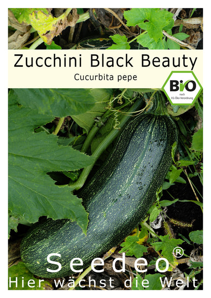 Seedeo® Zucchini Black Beauty (Cucurbita pepe) 10 Samen BIO