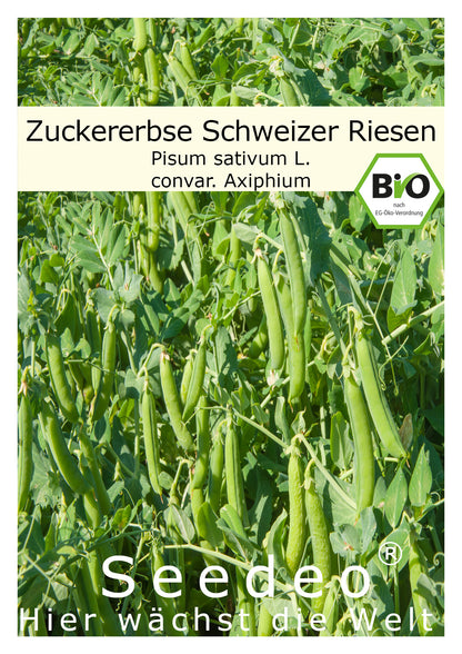 Seedeo® Zuckererbse Schweizer Riesen ( Pisum sativum L. convar. Axiphium) ca. 50 Samen BIO