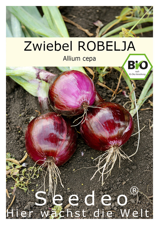 Seedeo® Zwiebel Robelja (Allium cepa) 200 Samen BIO