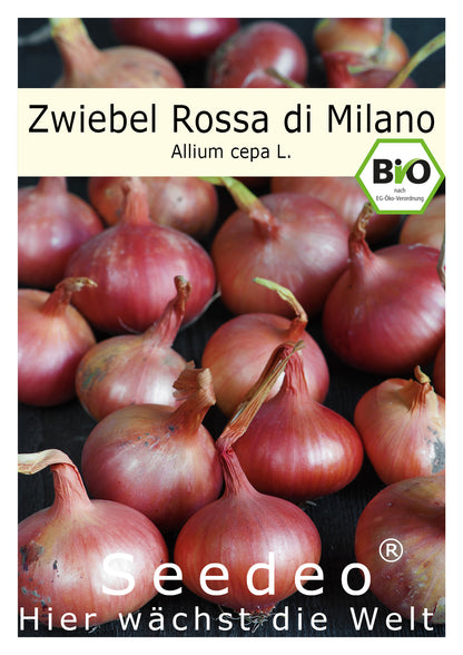 Seedeo® Zwiebel Rossa di Milano (Allium cepa L.) ca. 300 Samen BIO