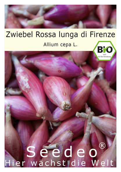 Seedeo® Zwiebel Rossa lunga di Firenze (Allium cepa L.) 200 Samen BIO
