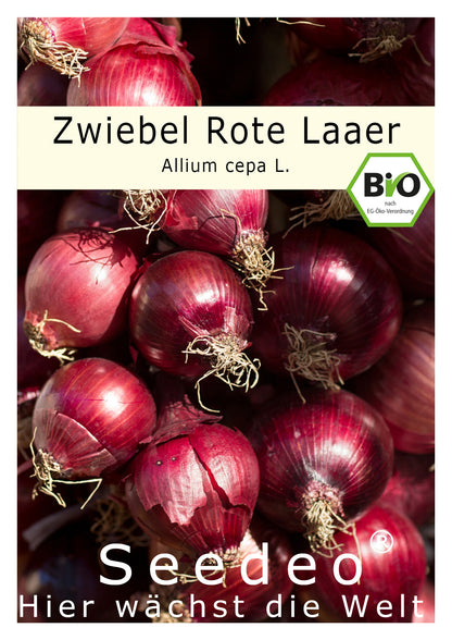 Seedeo® Zwiebel Rote Laaer (Allium cepa L.) 200 Samen BIO