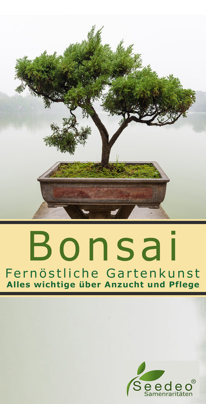 Seedeo® Bonsai Anzuchtset deluxe Best of (Japanische Blüten- und Zierkirsche, Blauregen,Zwerg-Granatapfel, Roter Fächerahorn,Japanische Kamelie)