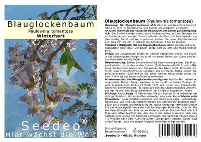 Seedeo® Gewächshaus Botanische Juwelen aus China