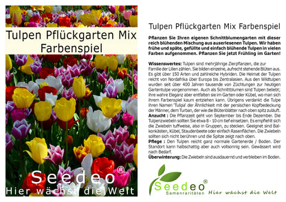 Seedeo® - Tulpen Pflückgarten Mix Farbenspiel 50 Zwiebeln mehrjährig - winterhart