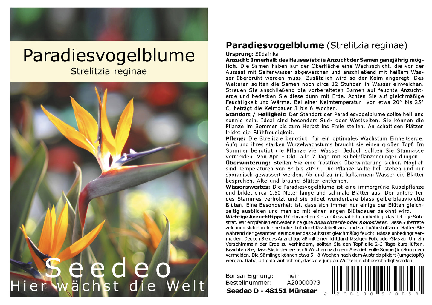 Seedeo Anzuchtset Paradiesvogelblume (Strelitzia Reginae)