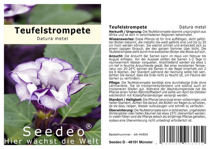 Seedeo® Teufelstrompete (Datura metel) 10 Samen