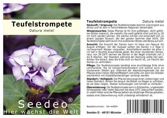 Seedeo® Teufelstrompete (Datura metel) 10 Samen