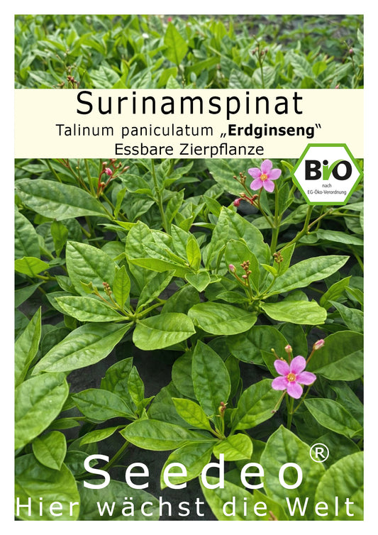 Seedeo® Surinamspinat (Talinum paniculatum) BIO 200 Samen