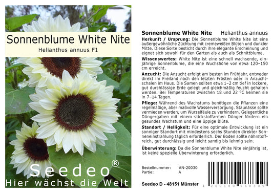 Seedeo® Sonnenblume White Nite (Helianthus annuus) 25 Samen