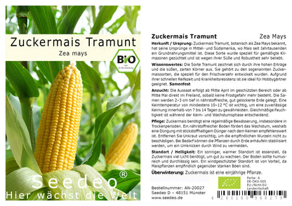 Seedeo® Zuckermais Tramunt  (Zea Mays) ca. 20 Samen