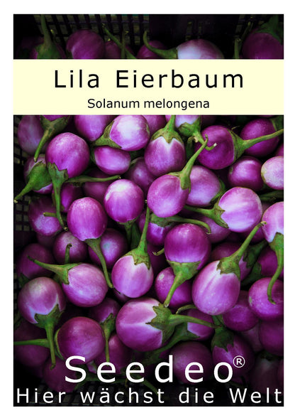 Seedeo® Lila Eierbaum (Solanum melongena) 20 Samen
