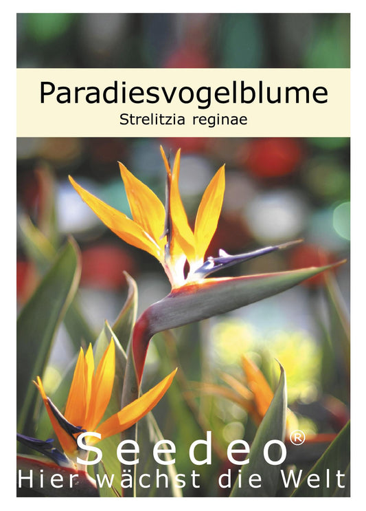 Seedeo® Paradiesvogelblume (Strelitzia Reginae) 10 Samen