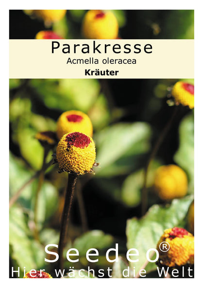 Seedeo® Parakresse (Spilanthes oleracea) 600 Samen