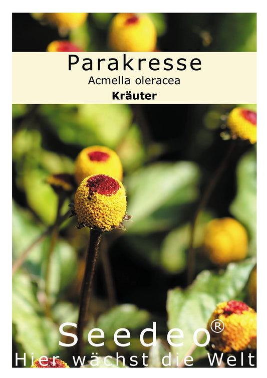 Seedeo® Parakresse (Spilanthes oleracea) 600 Samen