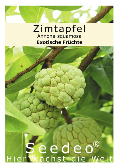Seedeo® Zimtapfel/Rahmapfel (Annona squamosa) 25 Samen