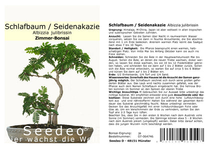 Seedeo® Seidenakazie/Schlafbaum (Albizzia julibrissin) Bonsai 50 Samen