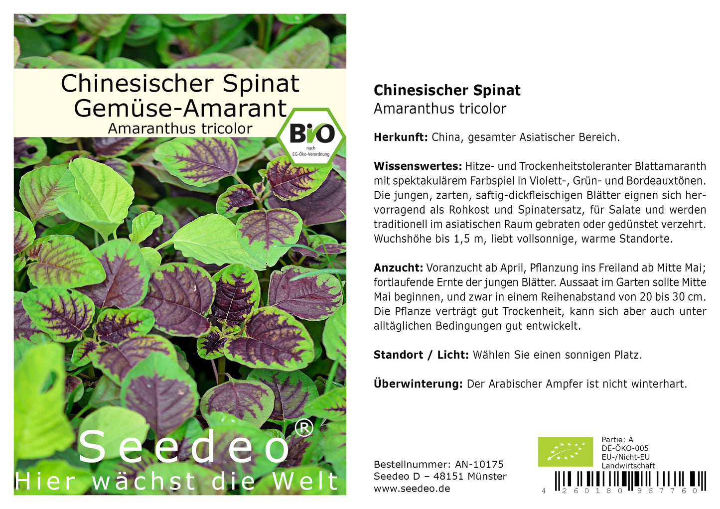 Seedeo® Chinesischer Spinat (Amaranthus tricolor) ca. 200 Samen BIO