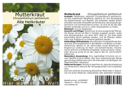 Seedeo® Mutterkraut (Chrysanthemum parthenium) 1000 Samen