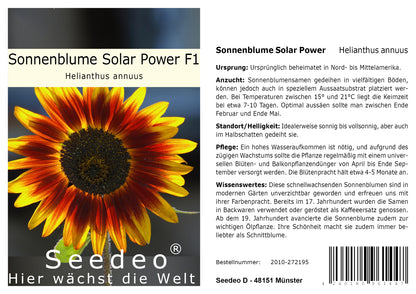 Seedeo® Sonnenblume Solar Power F1 (Helianthus annuus) 25 Samen