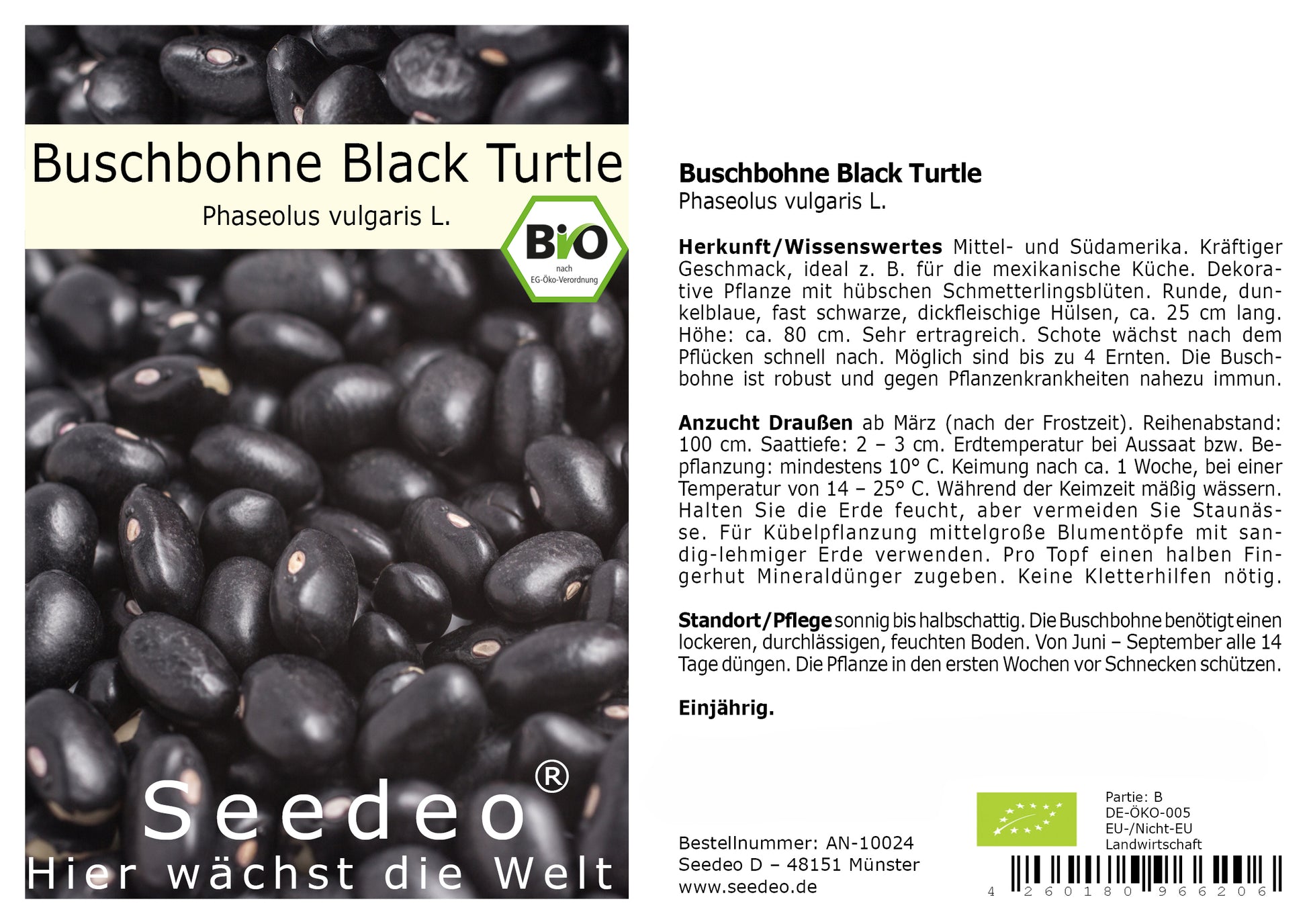 Seedeo® Buschbohne „Black Turtle“ (Phaseolus vulgaris L.) ca. 30 Samen