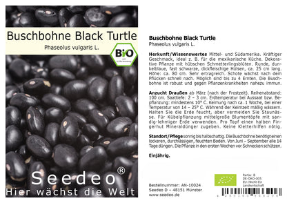 Seedeo® Buschbohne „Black Turtle“ (Phaseolus vulgaris L.) ca. 30 Samen BIO
