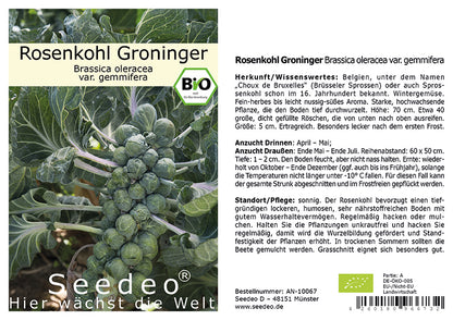 Seedeo® Rosenkohl Groninger  (Brassica oleracea var. gemmifera) 50 Samen BIO