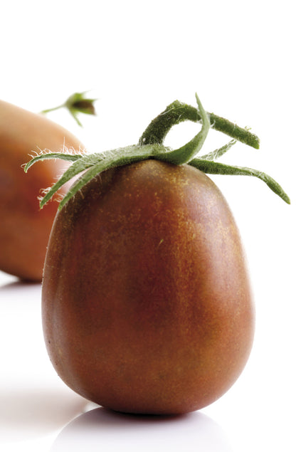 Seedeo® Tomate Black Plum (Lycopersicum esculentum Mill.) 20 Samen BIO