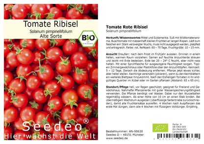 Seedeo® Tomate Rote Ribisl  (Lycopersicum esculentum Mill.) 20 Samen BIO