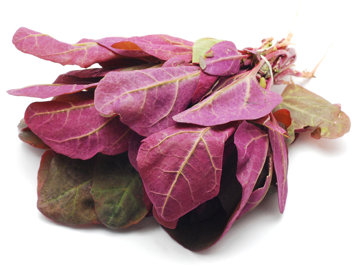 Seedeo® Gartenmelde rubinrot (Atriplex hortensis var. Rubra) 200 Samen BIO