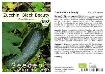 Seedeo® Zucchini Black Beauty (Cucurbita pepe) 10 Samen BIO