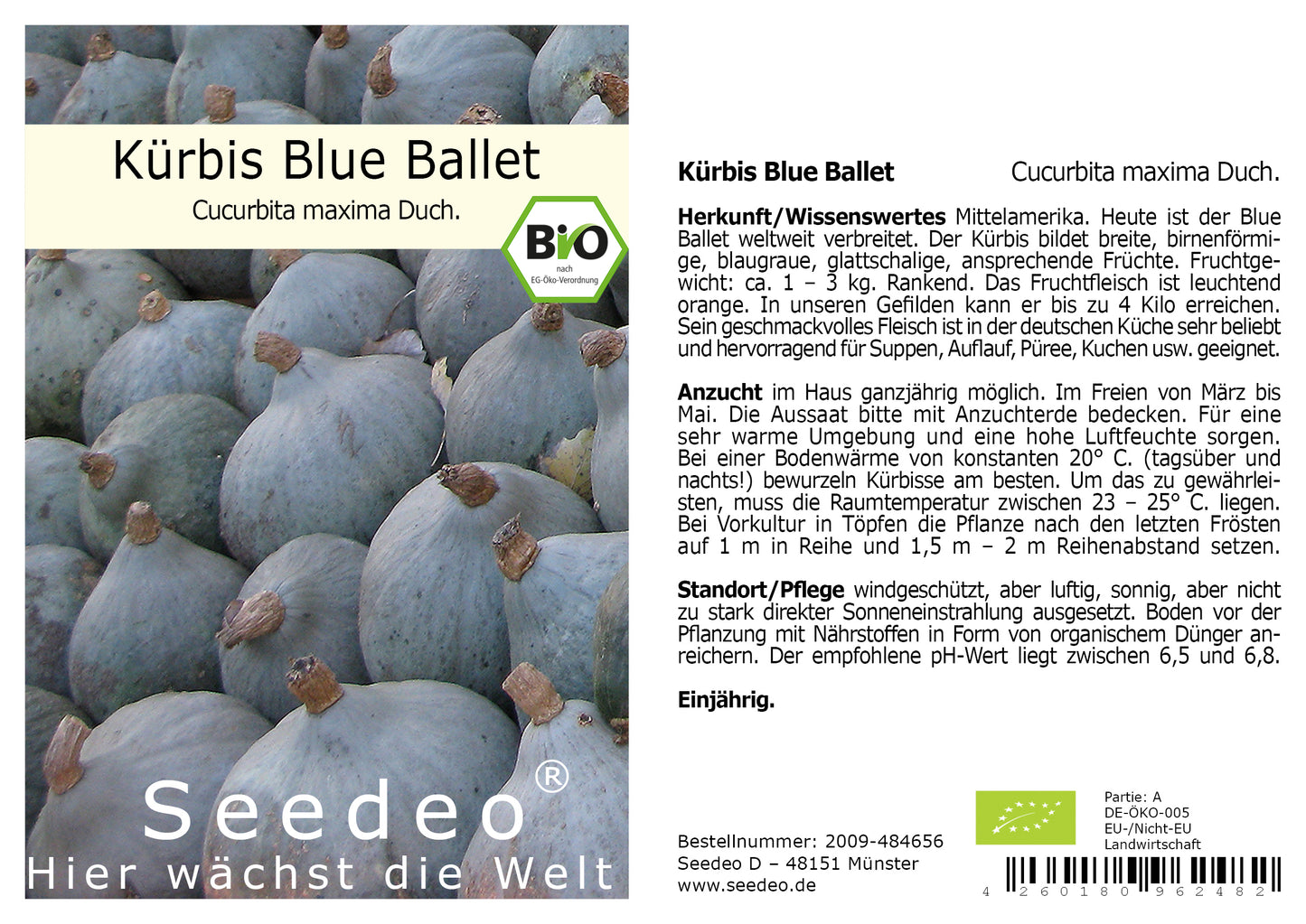 Seedeo® Kürbis Blue Ballet (Cucurbita maxima Duch.)  7 Samen BIO