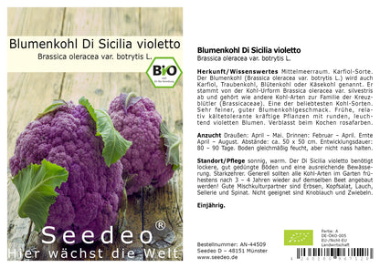Seedeo® Blumenkohl Di Sicilia violetto (Brassica oleracea var. botrytis L.) 50 Samen BIO