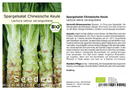 Seedeo® Spargelsalat Chinesische Keule (Lactuca sativa var. angustana) 100 Samen BIO