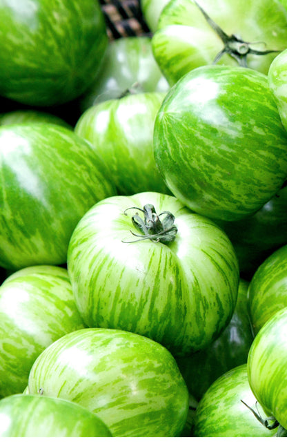 Seedeo® Tomate Green Zebra (Lycopersicum esculentum) 25 Samen BIO