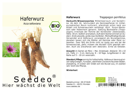Seedeo® Haferwurz (Tragepegon perrifelius) Samen BIO