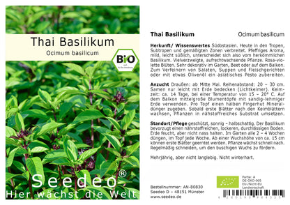 Seedeo® Thai Basilikum (Ocimum basilicum) 200 Samen BIO