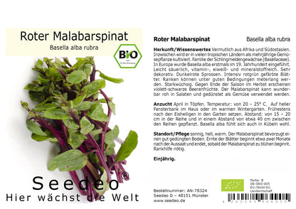 Seedeo® Malabarspinat Roter (Basella rubra) 15 Samen BIO