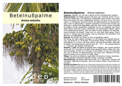 Seedeo® Betelnußpalme (Areca Catechu) 3 Samen
