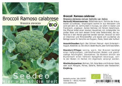 Seedeo® Broccoli Ramoso calabrese (Brassica oleracea convar. botrytis var. italica)  50 Samen BIO