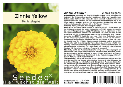 Seedeo® Zinnie Yellow (Zinnia elegans)50 Samen