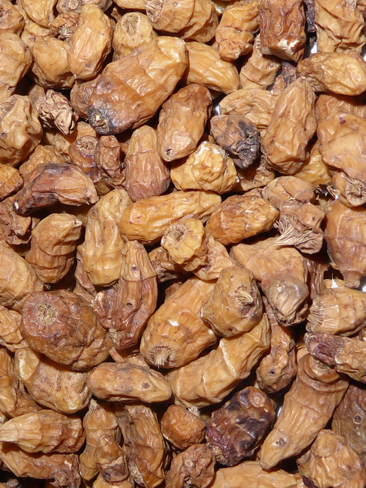 Seedeo® Erdmandel „Tigernuss Chufa“ (Cyperus esculentus)  10 Samen BIO