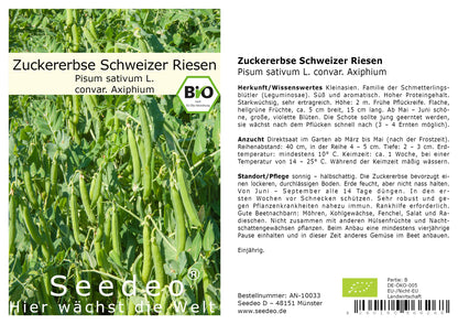 Seedeo® Zuckererbse Schweizer Riesen ( Pisum sativum L. convar. Axiphium) ca. 50 Samen BIO