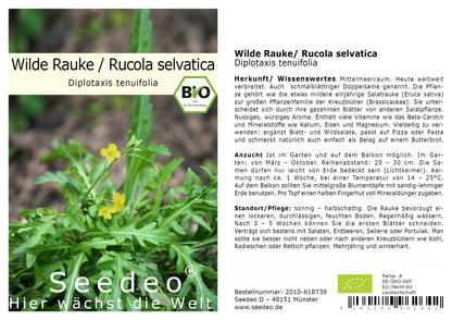 Seedeo® Rucola selvatica/Wilde Rauke (Diplotaxis tenuifolia)  500 Samen BIO
