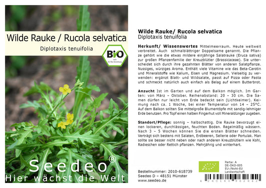 Seedeo® Rucola selvatica/Wilde Rauke (Diplotaxis tenuifolia)  500 Samen BIO