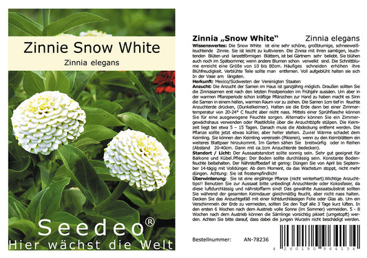 Seedeo® Zinnia Snow White (Zinnia elegans) 50 Samen